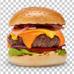 gourmet burger-image